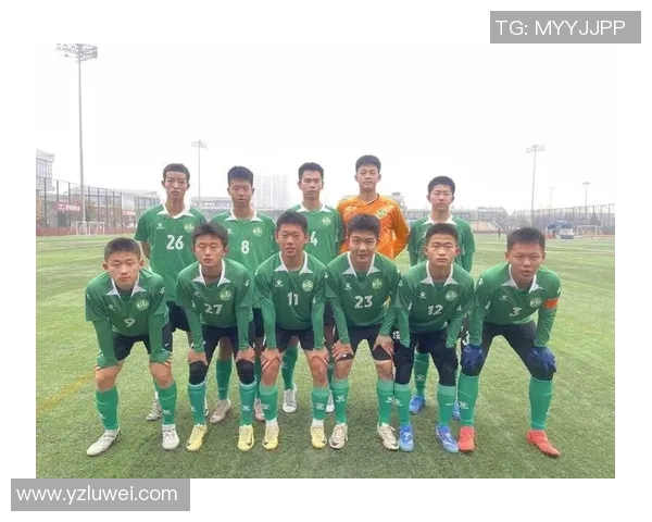 南京足球队近期状态深度对比与未来发展趋势分析 南京足球队近期状态深度对比与未来发展趋势分析