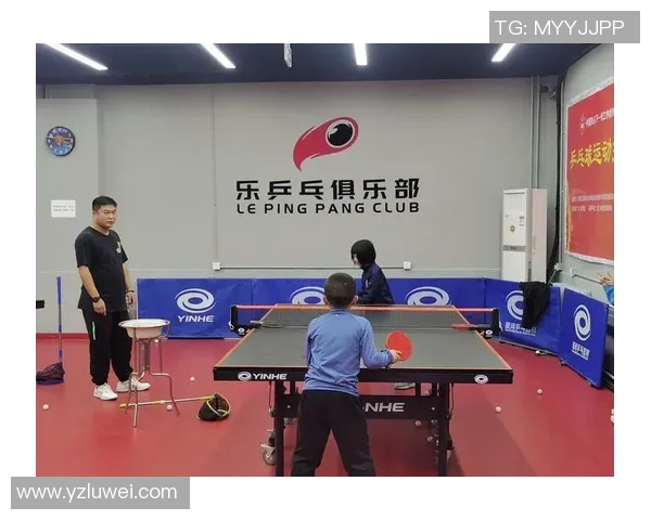 乒乓球新手必看：从零基础到比赛高手的实用技巧与经验分享