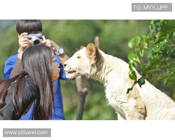 偶遇足球明星的奇妙瞬间记录与分享让我们一起感受他们的魅力与热情