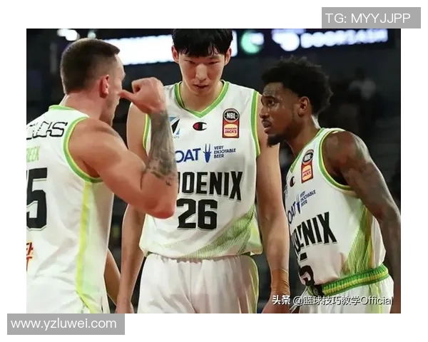 南京篮球队速度之争引发热议球迷观点各异引发讨论