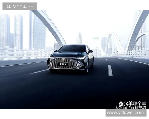 上海乒乓球队在洲际杯积分榜上以81分稳居第一名展现强劲实力