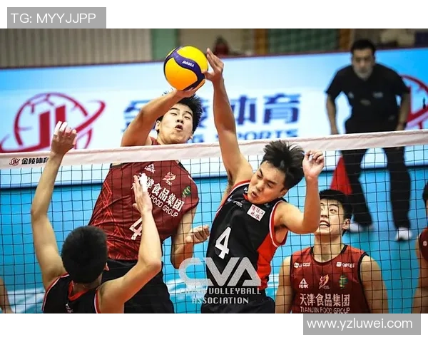 深圳排球队与南京排球队耐力较量赛后深度分析与反思