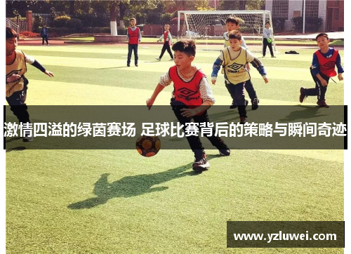 激情四溢的绿茵赛场 足球比赛背后的策略与瞬间奇迹