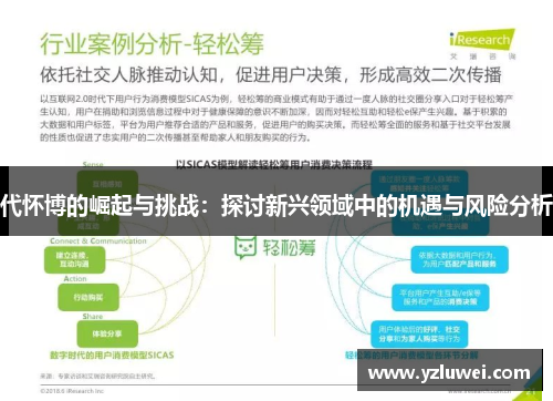 代怀博的崛起与挑战：探讨新兴领域中的机遇与风险分析