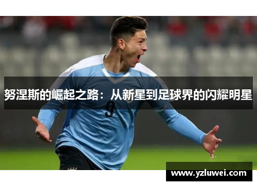 努涅斯的崛起之路：从新星到足球界的闪耀明星